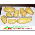 2012 new crop fresh potato price